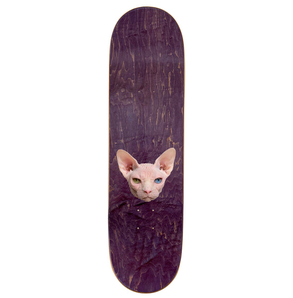 Shape SoMa x UMS Sphynx Preto